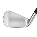 Apex Pro 21 Iron