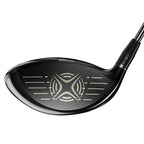 Big Bertha Fusion Heavy Driver