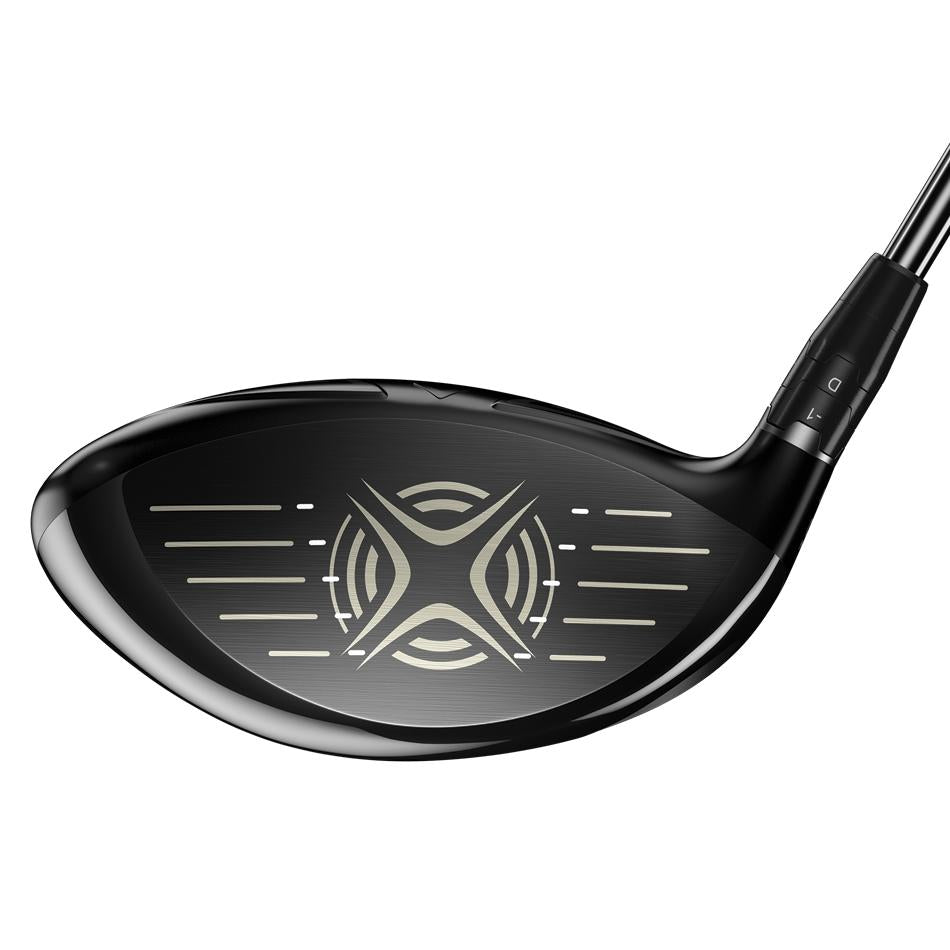 Big Bertha Fusion Heavy Driver